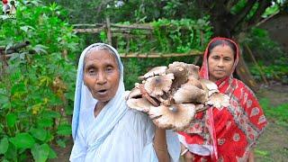 ধানের খড় থেকে তৈরি হওয়া মাশরুম কিভাবে রান্না করতে হয় | Paddy straw mushroom recipe village style