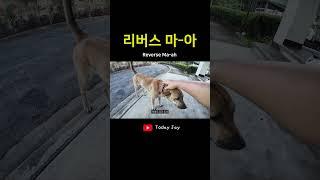 Ma-ah worked reversed..! 