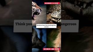 Top 5 most dangerous animals on Earth  #wildlife #fact #viral