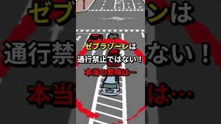 ゼブラゾーンの本当の意味知ってますか？ #車 #事故 #通行止め