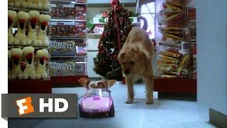 Gremlins (6/6) Movie CLIP - Gizmo to the Rescue (1984) HD