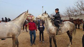 Shahidon ot bozori bugungi narhlar bilan tanishing 31.12.2024yil