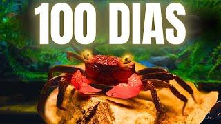 Simulé un Ecosistema De Isla durante 100 días.