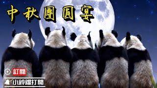 熊貓家的團圓宴 | iPanda熊貓頻道