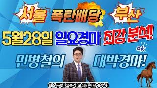 민병철의 5월28일 일요경마 최강분석!