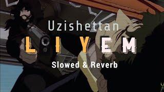 Uzishettan - LIYEM (Slowed & Reverb)