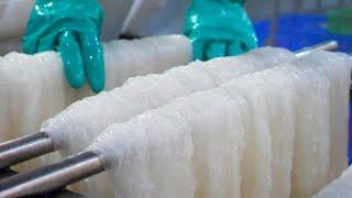 Cellophane noodles (Glass Noodles) Mass Production, Stir-Fried Shrimp Glass Noodles / 台灣冬粉(粉絲) 大量生產