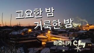 고요한 밤~거룩한 밤/메리 크리스마스 되세요/선재작은농장tv