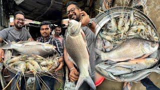 ৪ টি ডাক জিতে নদীর মাছ কিনলাম - নদীর শলা চিংড়ি, আইড়, ইলিশ, কাতলা  এতো টাটকা মাছ আর কোথাও পাই না 