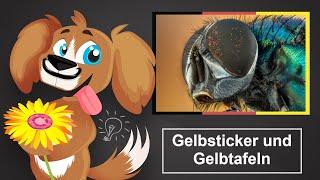  Gelbsticker und Gelbtafeln – Alle Infos