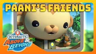 Octonauts: Above & Beyond -  Paani's Friends in the Wild  | Compilation | @Octonauts​