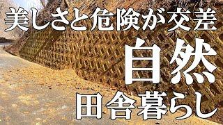 【標高800ｍの田舎暮らし】自然が織り成す美しくも厳しい山奥暮らし。やすまるだしで定番家庭料理｜村暮らし｜移住｜50代夫婦