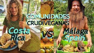 Comunidades Crudiveganas Frugívoras - Costa Rica vs. España | Una charla sobre comunidad Pura Fruta