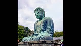 kamakura temple #budhdha #meditation #japan