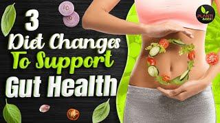 3 Diet Changes To Support Gut Health | Plant Based Bytes #Shorts