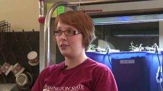 Undergraduate Scientist Talks about Her Organic Agriculture Research