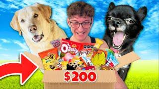 JOSH PUDDIN AND DOZER OPEN A $200 EXOTIC SNACK MYSTERY BOX