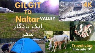 Adventure road trip to Naltar valley | Travel vlog Gilgit | camping in northern areas pakistan