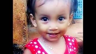 tragedi kebun sawit