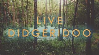 Didgeridoo LIVE Stream of Consciousness - Shaman Drum & Gong Meditation | Solar Music