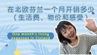 在北欧芬兰生活一个月开销需要多少Living expenses for a month in Finland - how much does it cost?