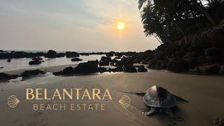 एवढी सुंदर जागा कोकणात ?? || Belantara Resort,खवणे बीच ॥ छोटासा ब्रेक ||