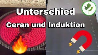 Ceran oder Induktion - Welches Kochfeld passt zu dir?