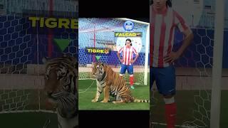 Animales en el fútbol + Gato