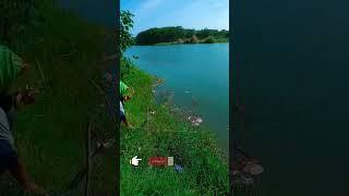 Mancing Blanak. #mancingmania #fishingvideo #mancingindonesia #fhising #mancing #fishingtrip