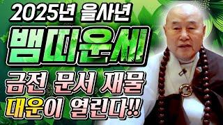 2025년 을사년 뱀띠운세 금전문이 열려서 웃음꽃 활짝 핀다! 인생에 다시없을 대운이 열리는 2025년 뱀띠 운세 / 53년생 65년생 77년생 89년생 뱀띠 운세