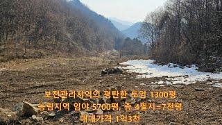 횡성임야매매, 보전관리지역 토임 1300평 및 농림지역 임야 합7천평,막다른곳,현황길있음.자연인,임업후계자,양봉,특수임작물재배지로 추천, 매매1억3천