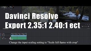 Resolve 14: How to set and export 2.35:1 crop