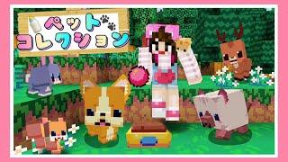 いろんな動物をペットにできるマイクラがキュンです【マインクラフト】【Minecraft】【女性ゲーム実況者】【TAMAchan】