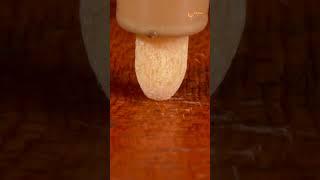 Paint Marker Extreme Close-up #satisfying #relaxing #asmr #macro