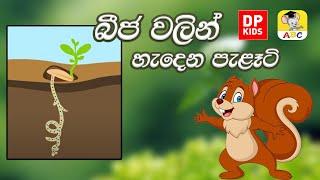 බීජ වලින් හැදෙන පැළෑටි | Professor Squirrel   Nutly Plants Grow from Seeds