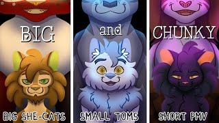 Big and Chunky - Warrior Cats - Big She-Cats Short PMV