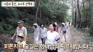 자연치유센터 '시온의 동산' 솔밭 산책길