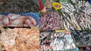 Cambodia Tour 2025 -Kilo Fish Market No. 9 at noon