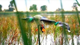 Duck Hunting Opening Day 2016