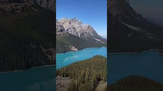 Peyto Lake Blue Water#Short#Alberta#viral