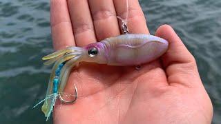 This Realistic Squid Lure Catches EVERYTHING! Unexpected Catch