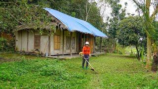 Trimming the landscape around the house, planning vegetable growing land for sows | Ly Tieu Tuyet