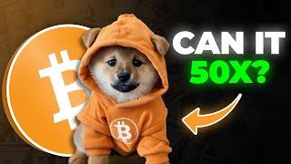 The Next $50b Dog Meme Coin: DOG GO TO THE MOON!