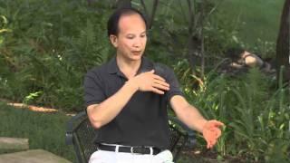 Spring Forest Qigong Demo "How Your Energy System Works"