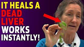 A REVOLUTIONARY breakthrough to HEAL a fatty LIVER in just 3 days! | Barbara O'Neill