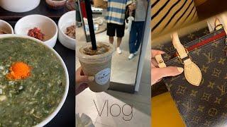 Vlog 미국일상 브이로그 | 버지니아 한식투어/한식맛집, 타이슨코너, 곱창스토리, 매생이굴죽, 양념게장, 인절미스무디, 핫도그 