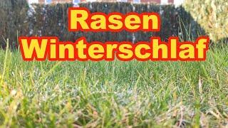 Rasen in den Winterschlaf schicken! Das braucht euer Rasen jetzt