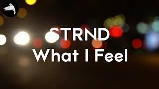 Michal Strnad - What I Feel (lyric video)