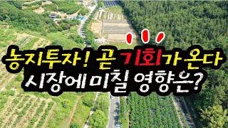 (이슈) 농지 규제완화 전망 자경기간 축소 및 농지임대차 완화 농촌체험활성화 농촌체류형쉼터 임대 등 곧 농지투자의 시대가 온다