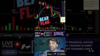 Bear Flag